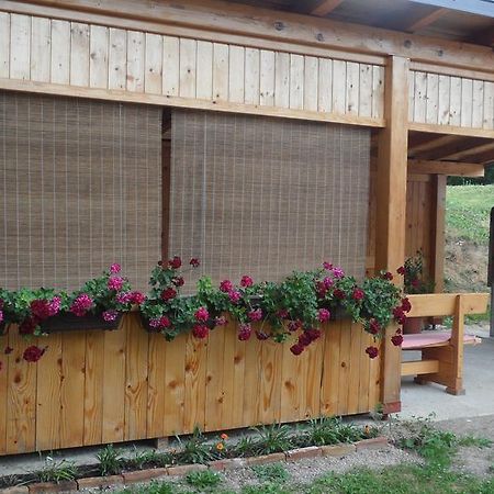 Apartment Rendulic Rakovica Exteriér fotografie